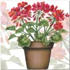 Geranium Greetings Card