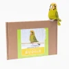 Gertrude the Green Budgie Needle Felting Kit
