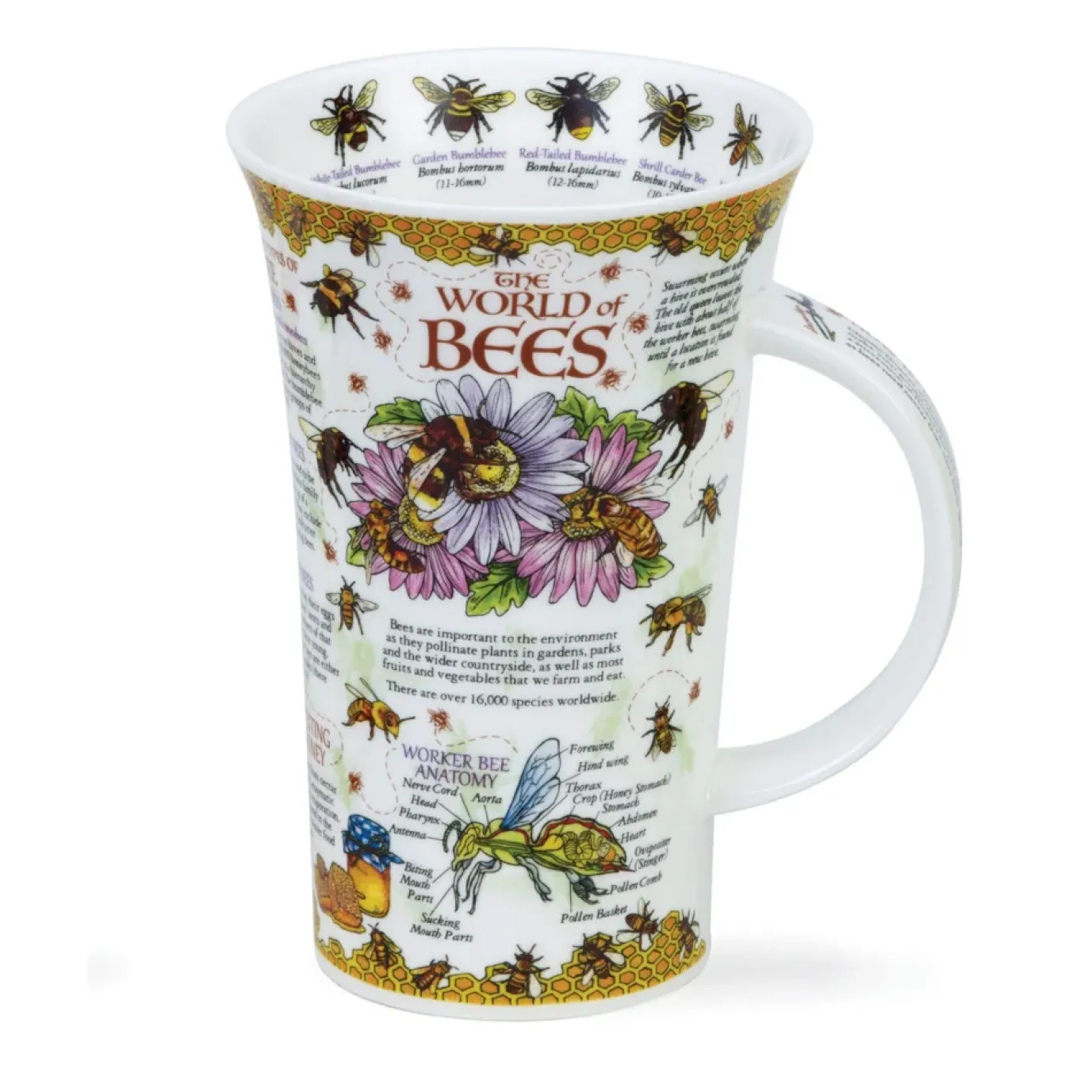 Glencoe World of Bees Mug