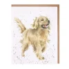 'Golden Boy' Blank Greetings Card