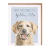 'Golden Oldie' Birthday Greetings Card
