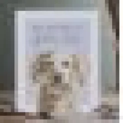 'Golden Oldie' Birthday Greetings Card