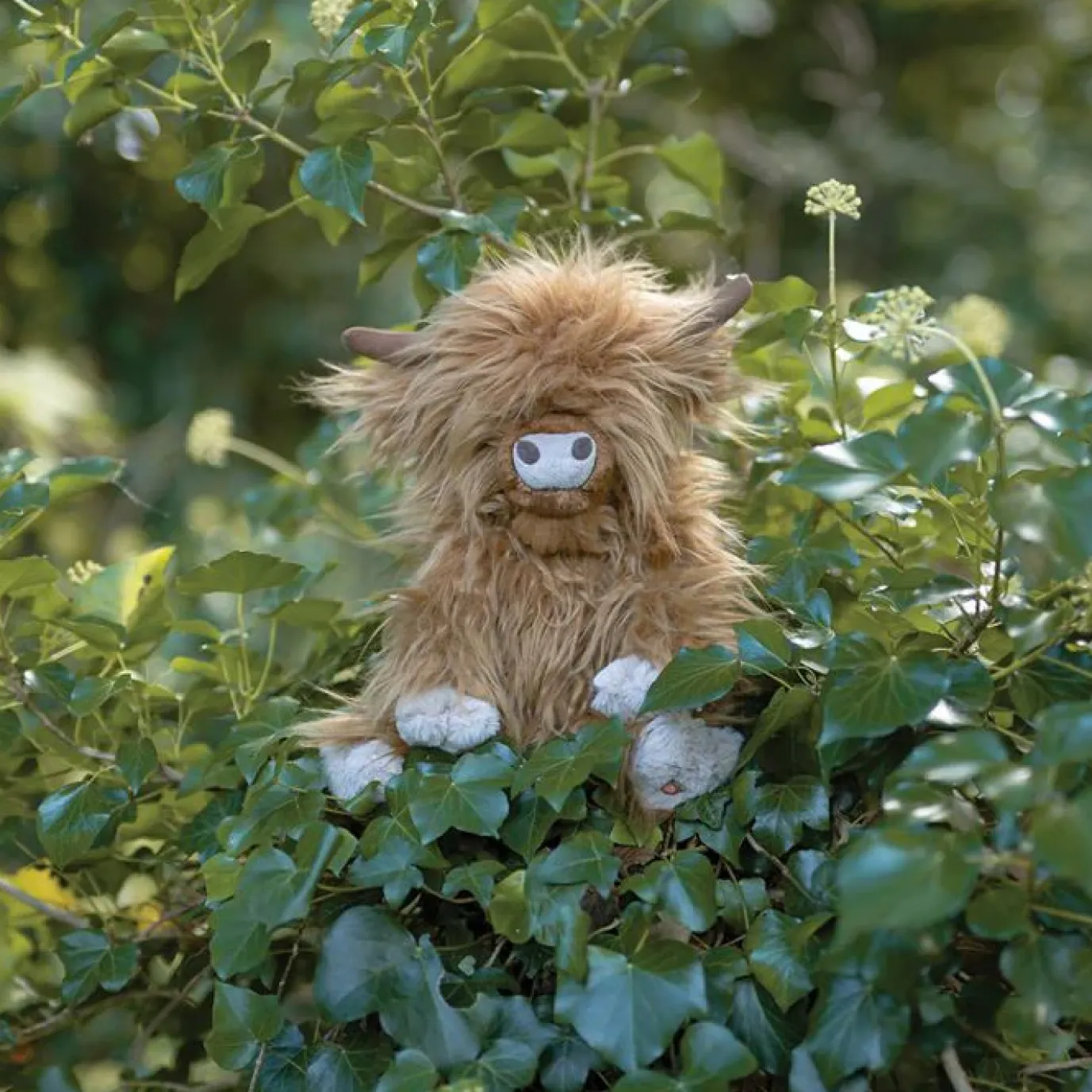 'Gordon' Highland Cow Plush Character