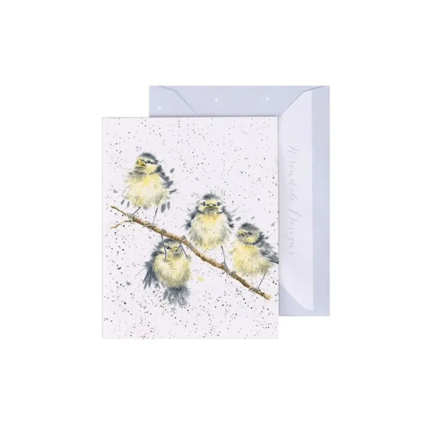 'Hanging Out' Great Tit Enclosure Card