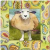 Happy Sheep  Greetings Card