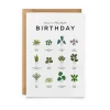 Have a Plantastic Birthday Card