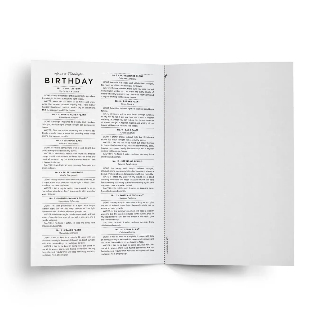 Have a Plantastic Birthday Card