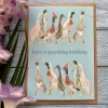 Have a Quacking Birthday! Eco-card