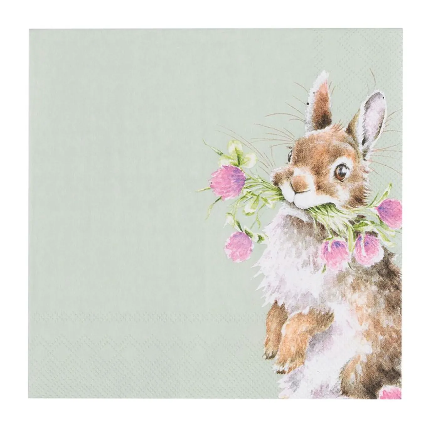 'Head Clover Heels' Rabbit Paper Napkins