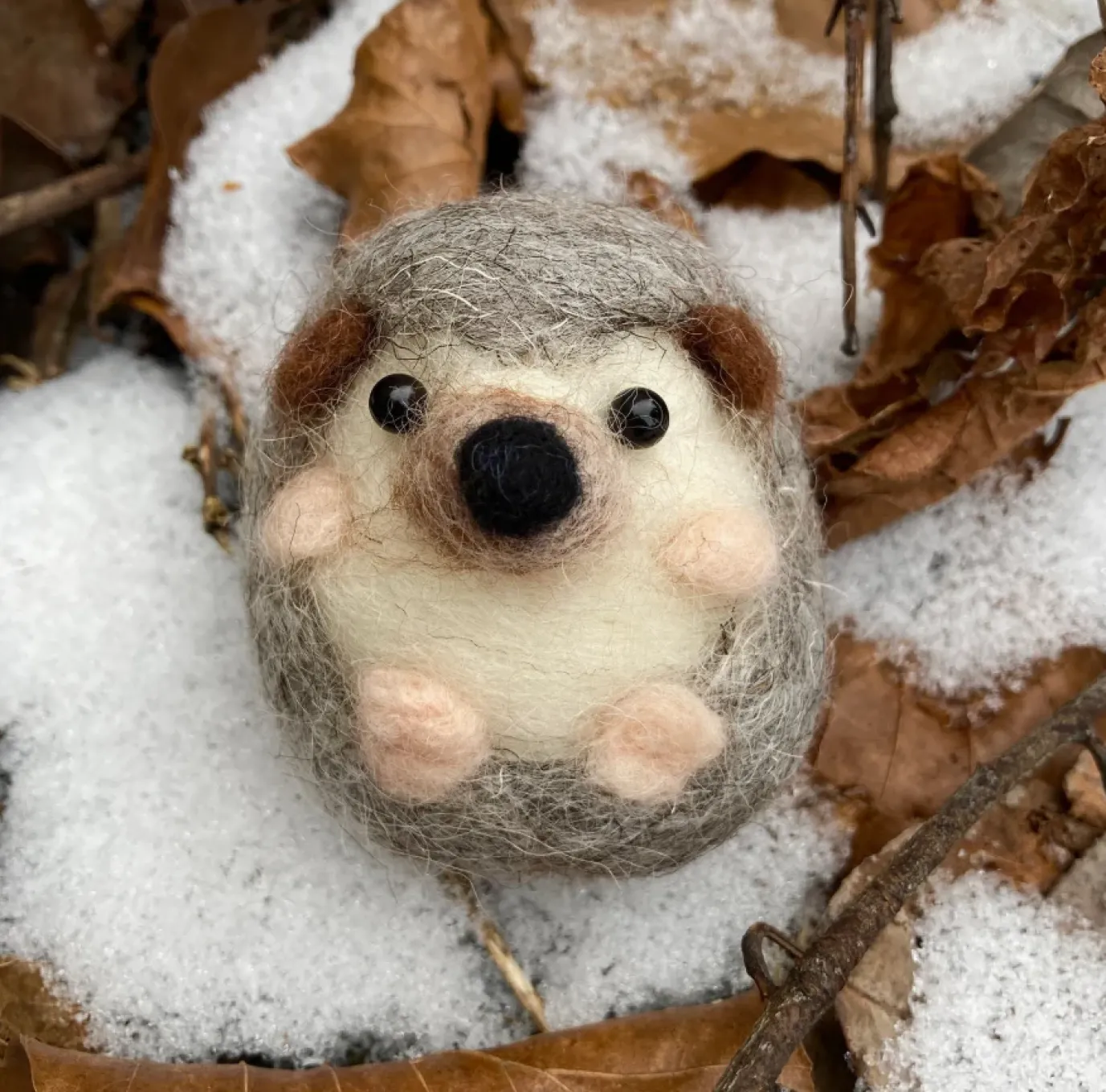 Hedgehog Needle Felting Kit