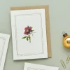 Hellebore - 'Botanical Archive: Festive Edition' - card