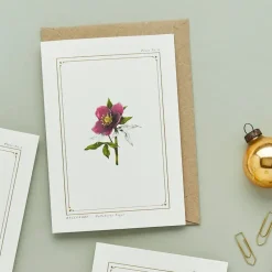 Hellebore - 'Botanical Archive: Festive Edition' - card