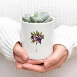 Hellebore Bone China Pot