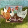 Hens  Greetings Card