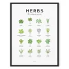 Herbs Guide Print - Framed