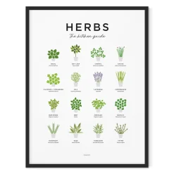 Herbs Guide Print - Framed
