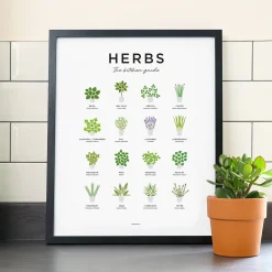 Herbs Guide Print - Framed