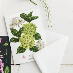 Hydrangea - card