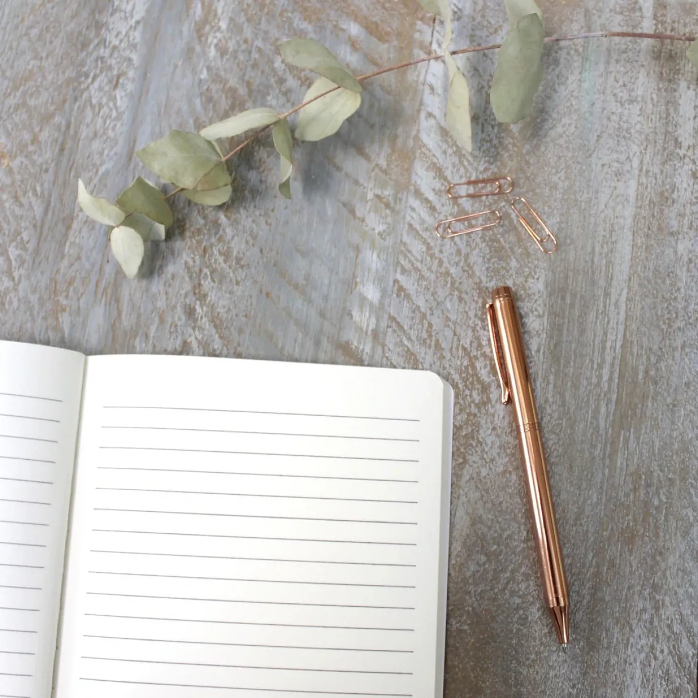 Hydrangea Pure A5 Lined Notebook