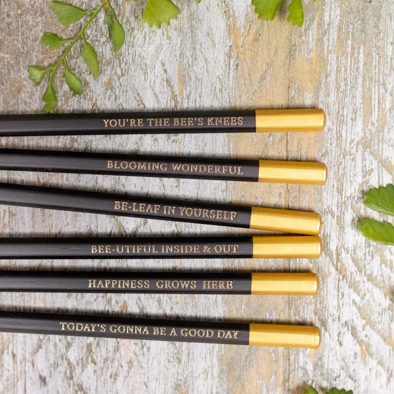 Hydrangea Set of 6 Pencils