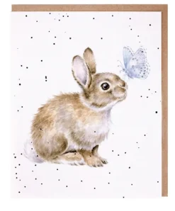 'I Spy a Butterfly' Bunny Birthday Greetings Card