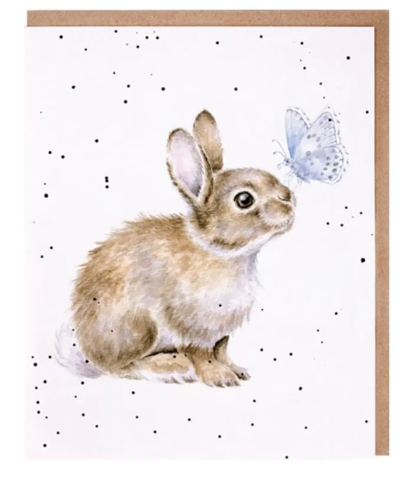 'I Spy a Butterfly' Bunny Birthday Greetings Card
