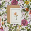 Icelandic Poppy - 'Botanical Archive: Everyday Edition' - card