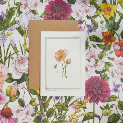 Icelandic Poppy - 'Botanical Archive: Everyday Edition' - card