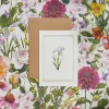 Iris - 'Botanical Archive: Everyday Edition' - card
