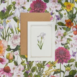 Iris - 'Botanical Archive: Everyday Edition' - card