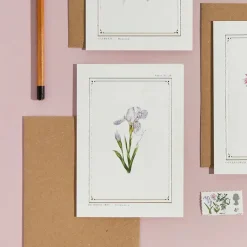 Iris - 'Botanical Archive: Everyday Edition' - card