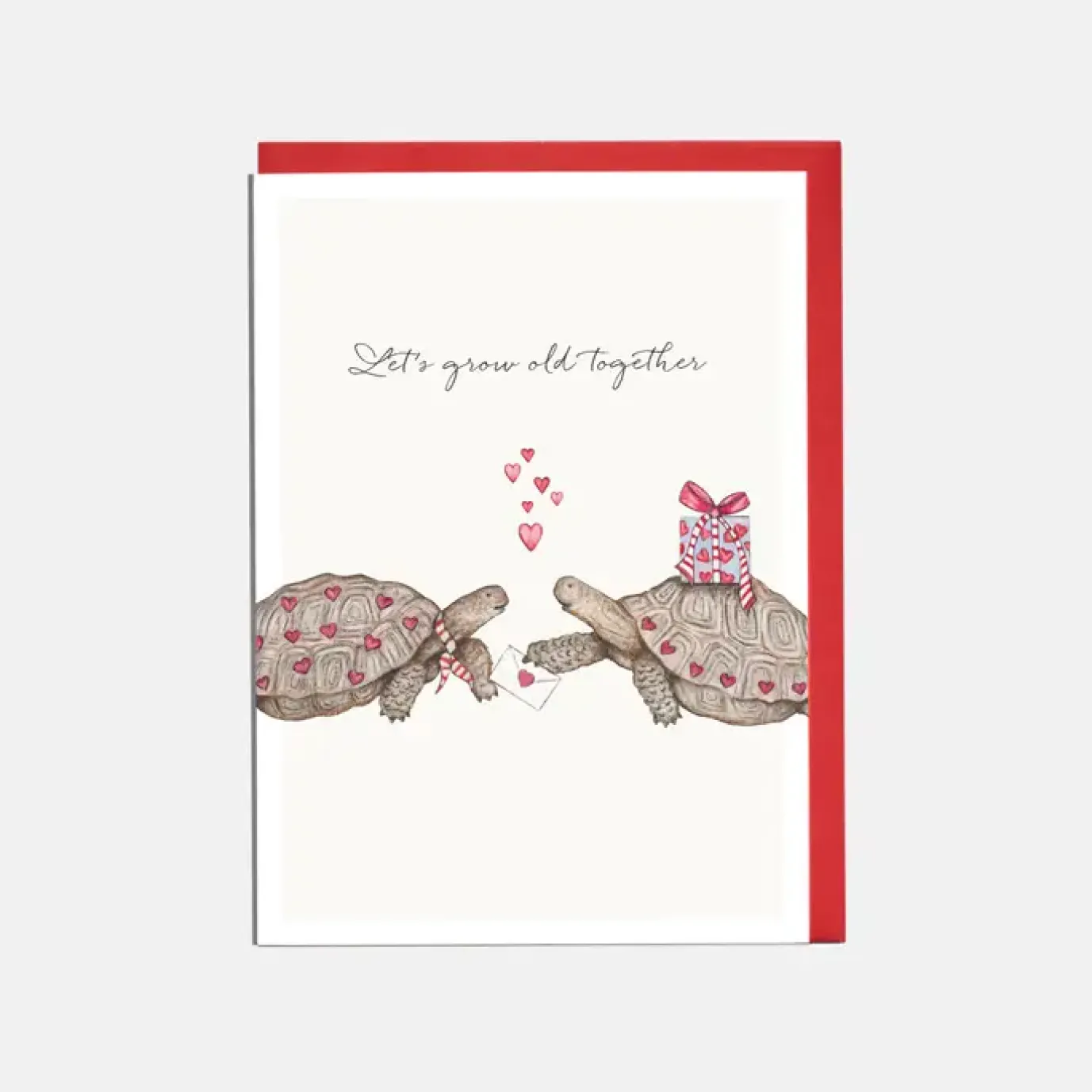 'Let's Grow Old Together' Tortoise Valentine's Card