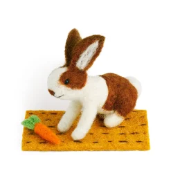 Lettuce Rabbit with Carrot Nibbles