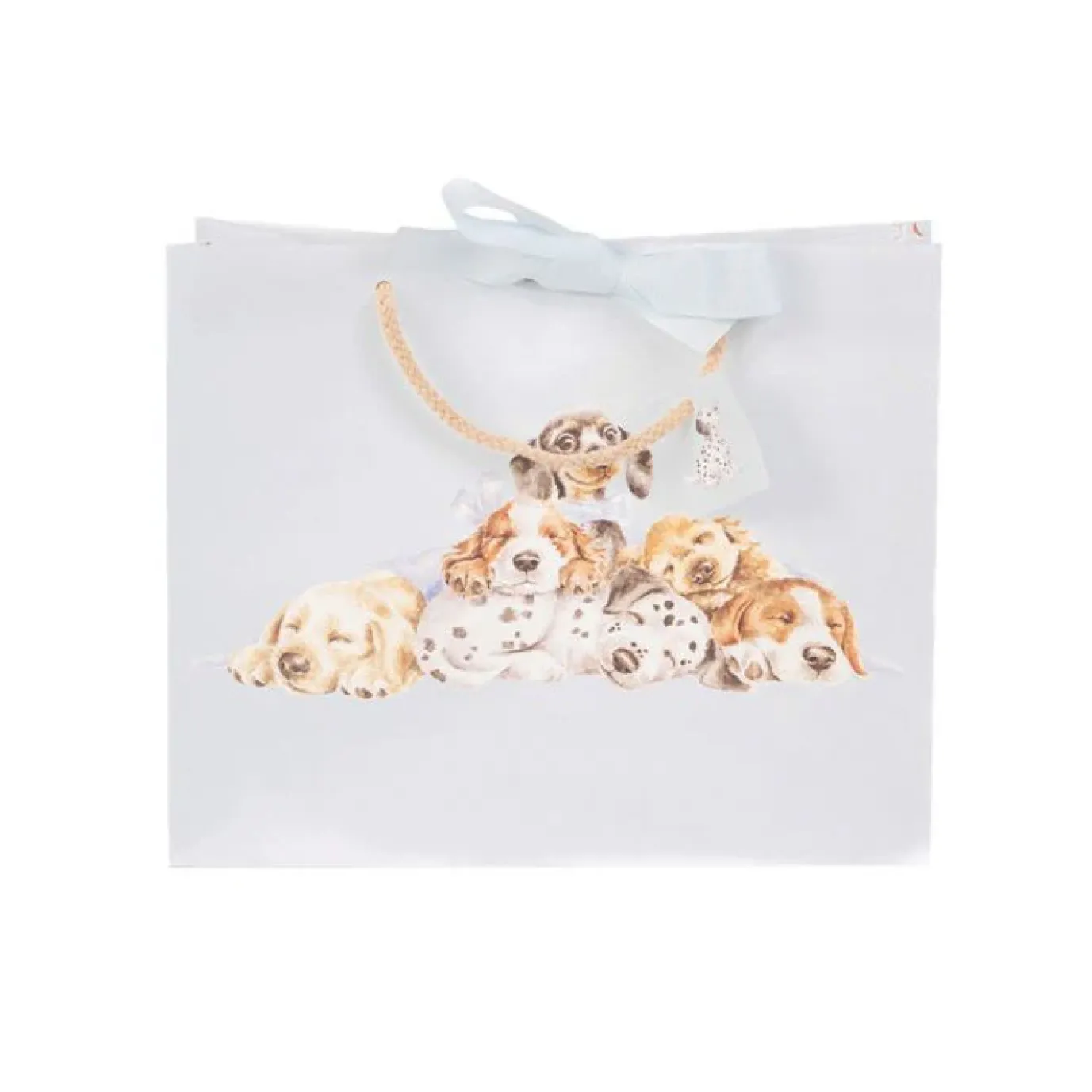 'Little Paws' Dog Gift Bag