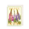 Lupins Greeting Card