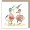 Mallards Greetings Card