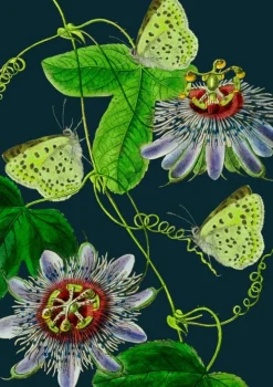 Midnight Passion Flower Card