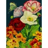 Midnight Poppies Card
