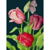 Midnight Tulips Card