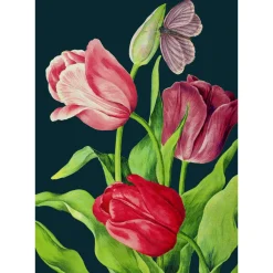 Midnight Tulips Card