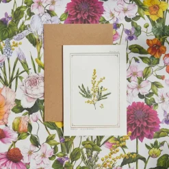 Mimosa - 'Botanical Archive: Everyday Edition' - card