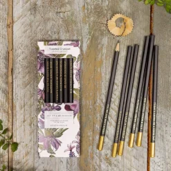 Mulberry Set of 6 Pencils