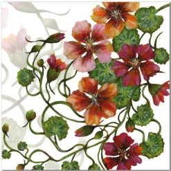 Nasturtiums Greetings Card