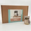 Owl Needle Felting Kit