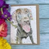 Ozzy The Labrador Eco-Card