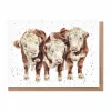 'Paddy, Percy and Pedro' Cows Greetings Card