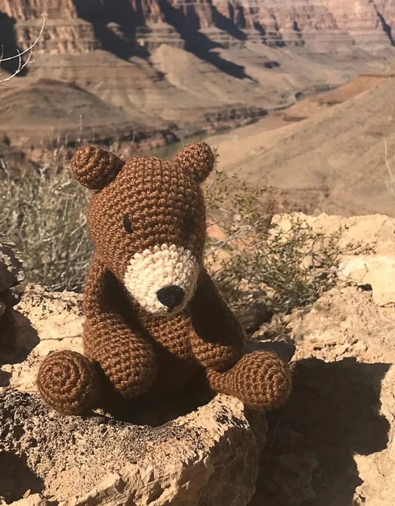 Penelope the Bear Crochet Kit