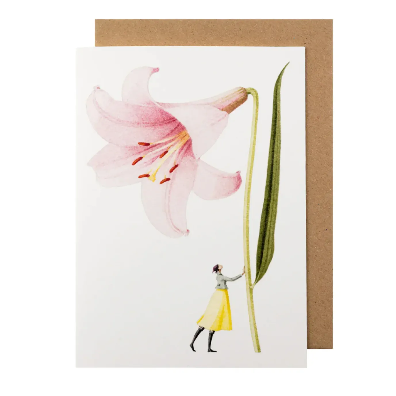 Pink Lily Blank Greetings Card