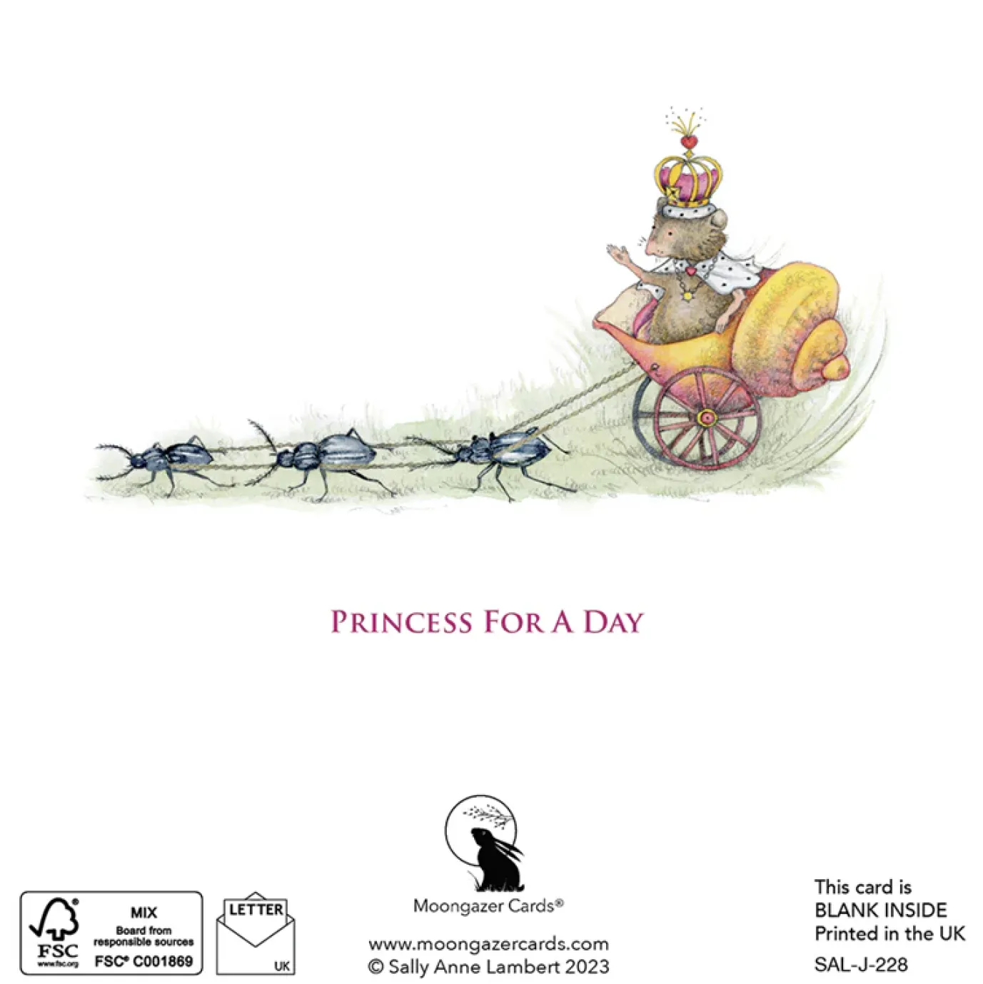 Princess For A Day Greeting Card