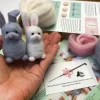 Rabbits Needle Felting Kit